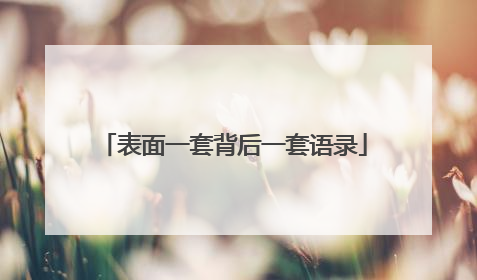 表面一套背后一套语录