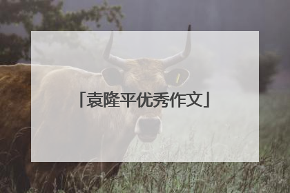 袁隆平优秀作文