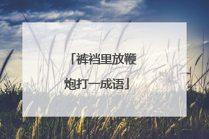 裤裆里放鞭炮打一成语