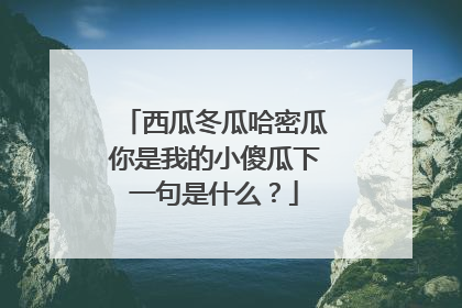 西瓜冬瓜哈密瓜你是我的小傻瓜下一句是什么?