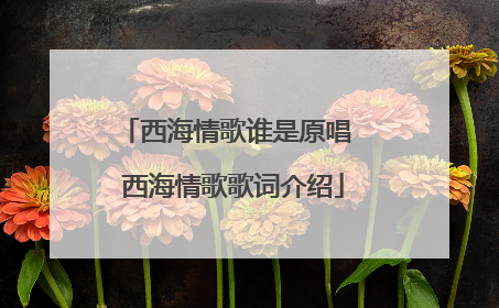 西海情歌谁是原唱 西海情歌歌词介绍
