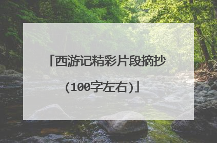 西游记精彩片段摘抄(100字左右)