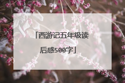 西游记五年级读后感500字