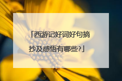 西游记好词好句摘抄及感悟有哪些?