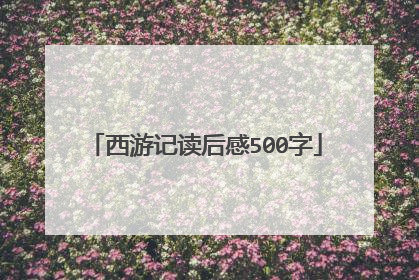 西游记读后感500字