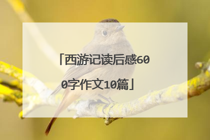 西游记读后感600字作文10篇