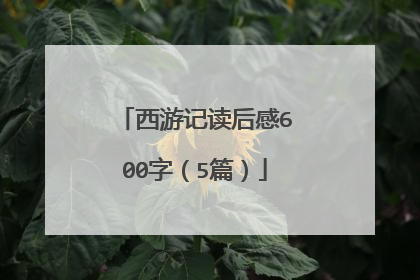 西游记读后感600字(5篇)