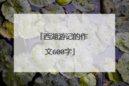 西湖游记的作文600字