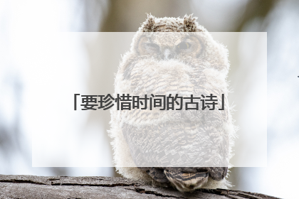 要珍惜时间的古诗