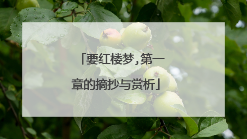 要红楼梦,第一章的摘抄与赏析