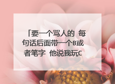 要一个骂人的 每句话后面带一个B或者笔字 他说我玩CF用G 我没用G 他叫肖曙光 最好是一句话一段的那种