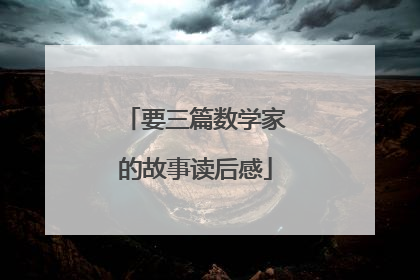 要三篇数学家的故事读后感