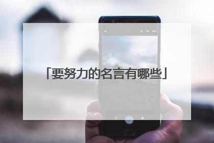 要努力的名言有哪些