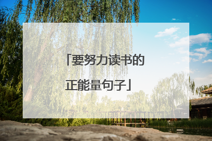 要努力读书的正能量句子