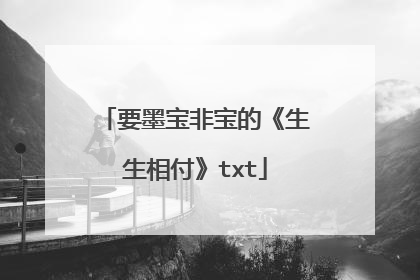 要墨宝非宝的《生生相付》txt