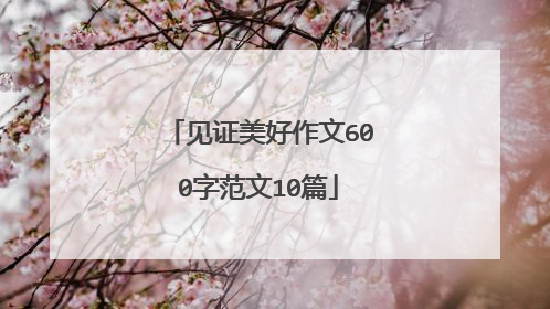 见证美好作文600字范文10篇