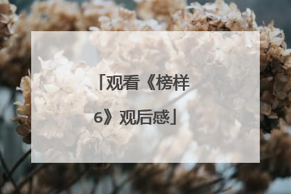 观看《榜样6》观后感