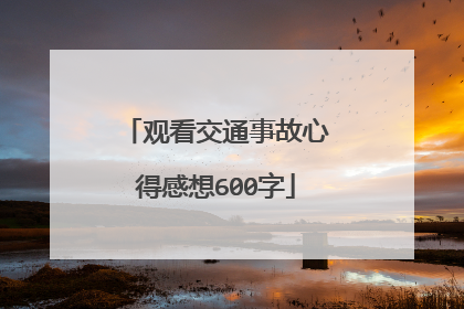 观看交通事故心得感想600字