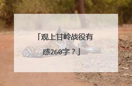 观上甘岭战役有感260字?