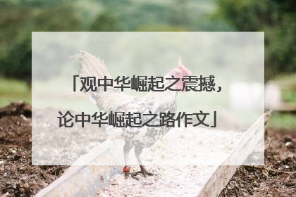 观中华崛起之震撼,论中华崛起之路作文