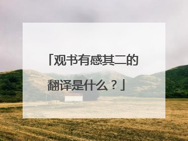 观书有感其二的翻译是什么？