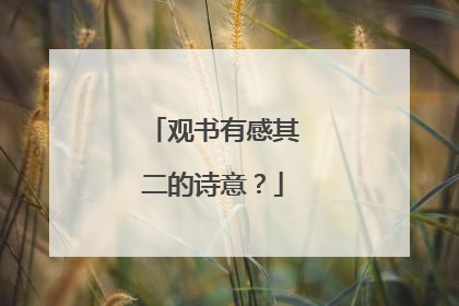 观书有感其二的诗意？