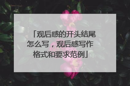 观后感的开头结尾怎么写,观后感写作格式和要求范例