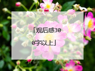 观后感300字以上