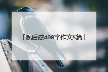 观后感400字作文5篇