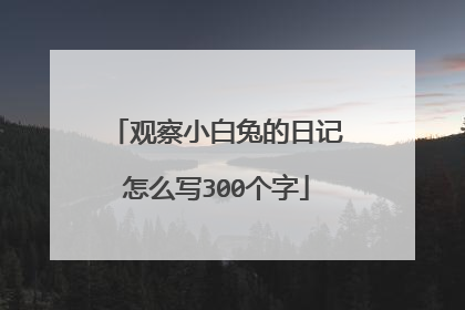 观察小白兔的日记怎么写300个字