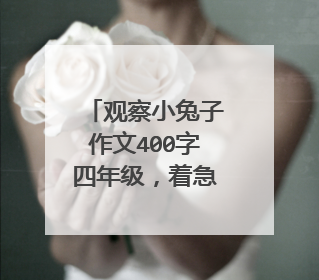 观察小兔子作文400字四年级,着急!明天用!