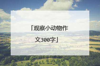 观察小动物作文300字