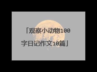 观察小动物100字日记作文10篇