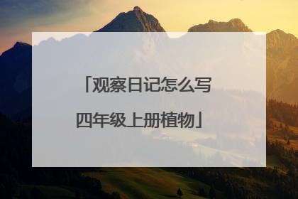 观察日记怎么写四年级上册植物