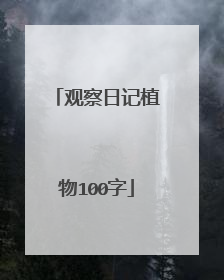 观察日记植物100字
