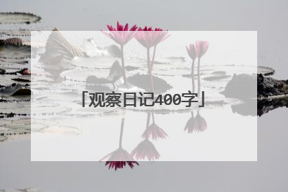 观察日记400字