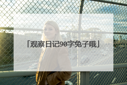 观察日记90字兔子哦