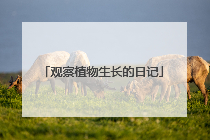 观察植物生长的日记