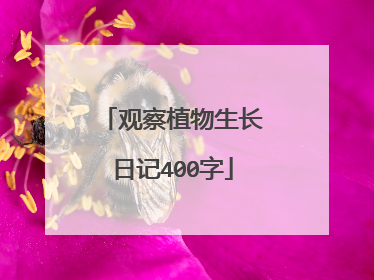 观察植物生长日记400字