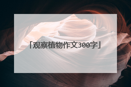 观察植物作文300字