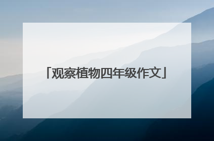 观察植物四年级作文