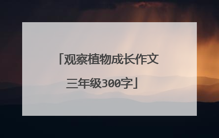 观察植物成长作文三年级300字
