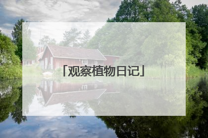 观察植物日记