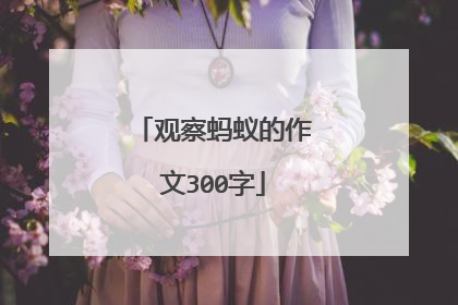 观察蚂蚁的作文300字