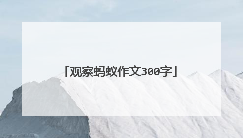 观察蚂蚁作文300字