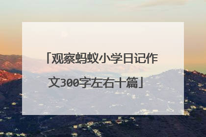 观察蚂蚁小学日记作文300字左右十篇