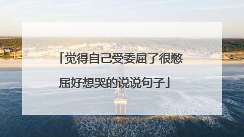 觉得自己受委屈了很憋屈好想哭的说说句子