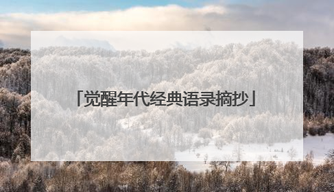 觉醒年代经典语录摘抄