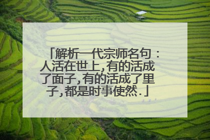 解析一代宗师名句：人活在世上,有的活成了面子,有的活成了里子,都是时事使然.