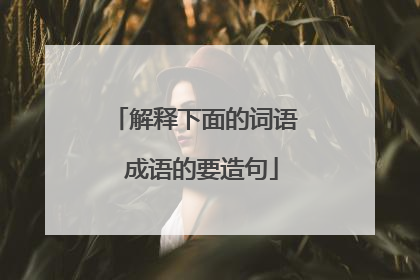 解释下面的词语 成语的要造句